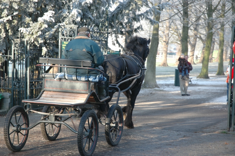Clingendael